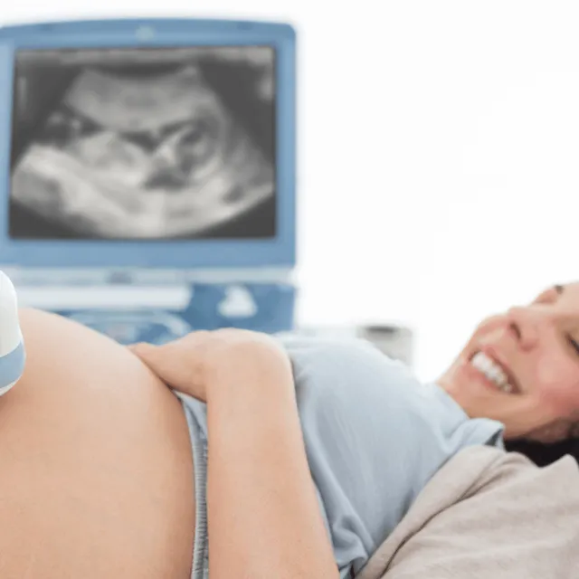 Pregnancy Rights: Essential Guide