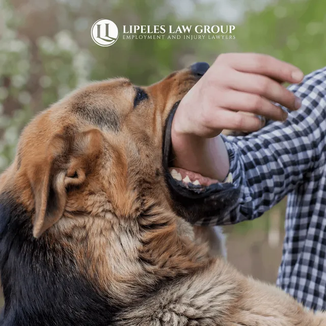 When pets become our attackers